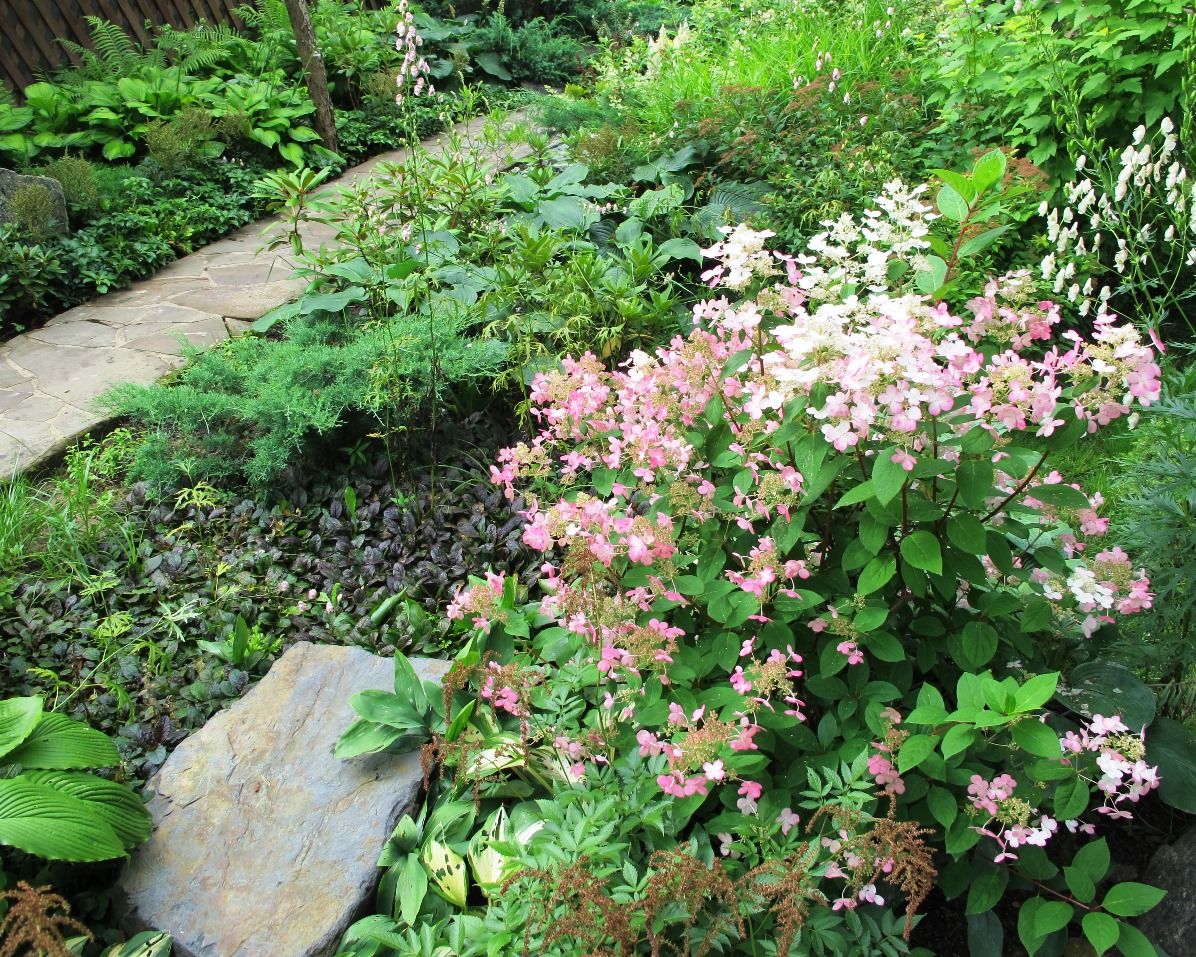 Проект Переделкино